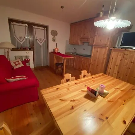 Wood In Canin Ski Sella Nevea