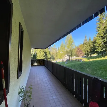 Apartamento Wood In Canin Ski