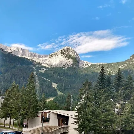 Apartamento Wood In Canin Ski *