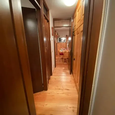 Wood In Canin Ski Sella Nevea